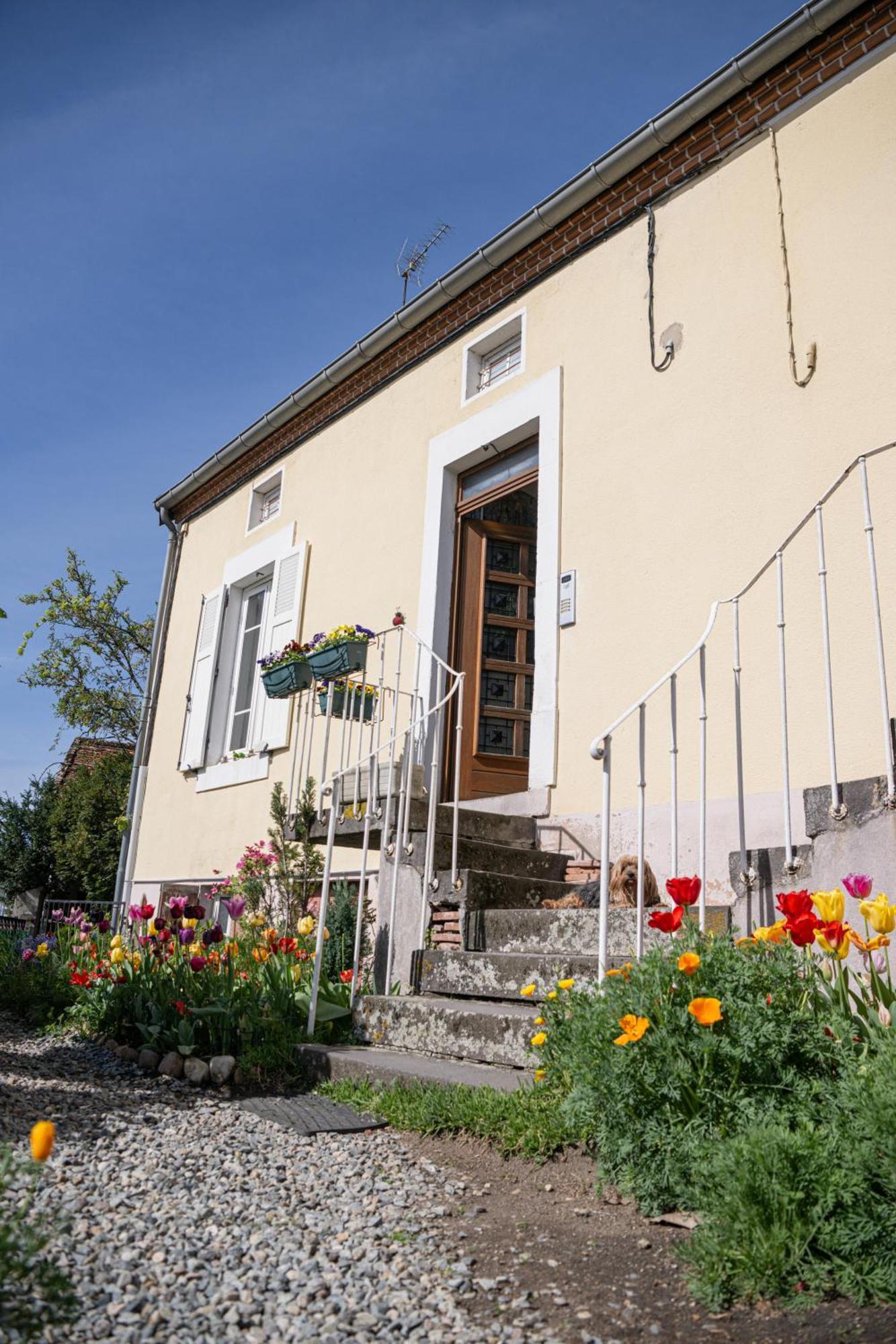 La Belle Rive Du Voyageur Lejlighed Bellerive-sur-Allier Eksteriør billede